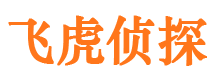 金阳侦探公司